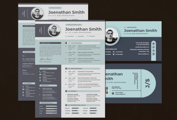 Professional Vitae CV Resume Set